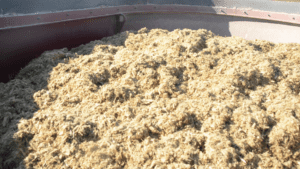 Secuencia 02.00 00 42 12.Imagen fija002