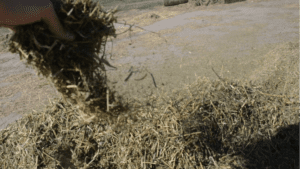 Secuencia 02.00 01 11 04.Imagen fija003