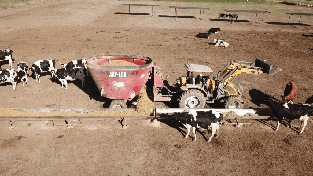 Secuencia 02.00 01 15 04.Imagen fija004