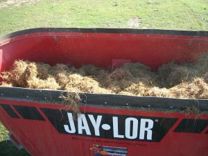 LINEAMIENTOS DE JAYLOR PARA EL PROCESAMIENTO DE ROLLOS 1 a 7862854