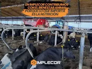 Imagen promocional de Implecor mostrando ganado bovino alimentándose en comederos con texto sobre contribución al bienestar animal y la importancia de la nutrición